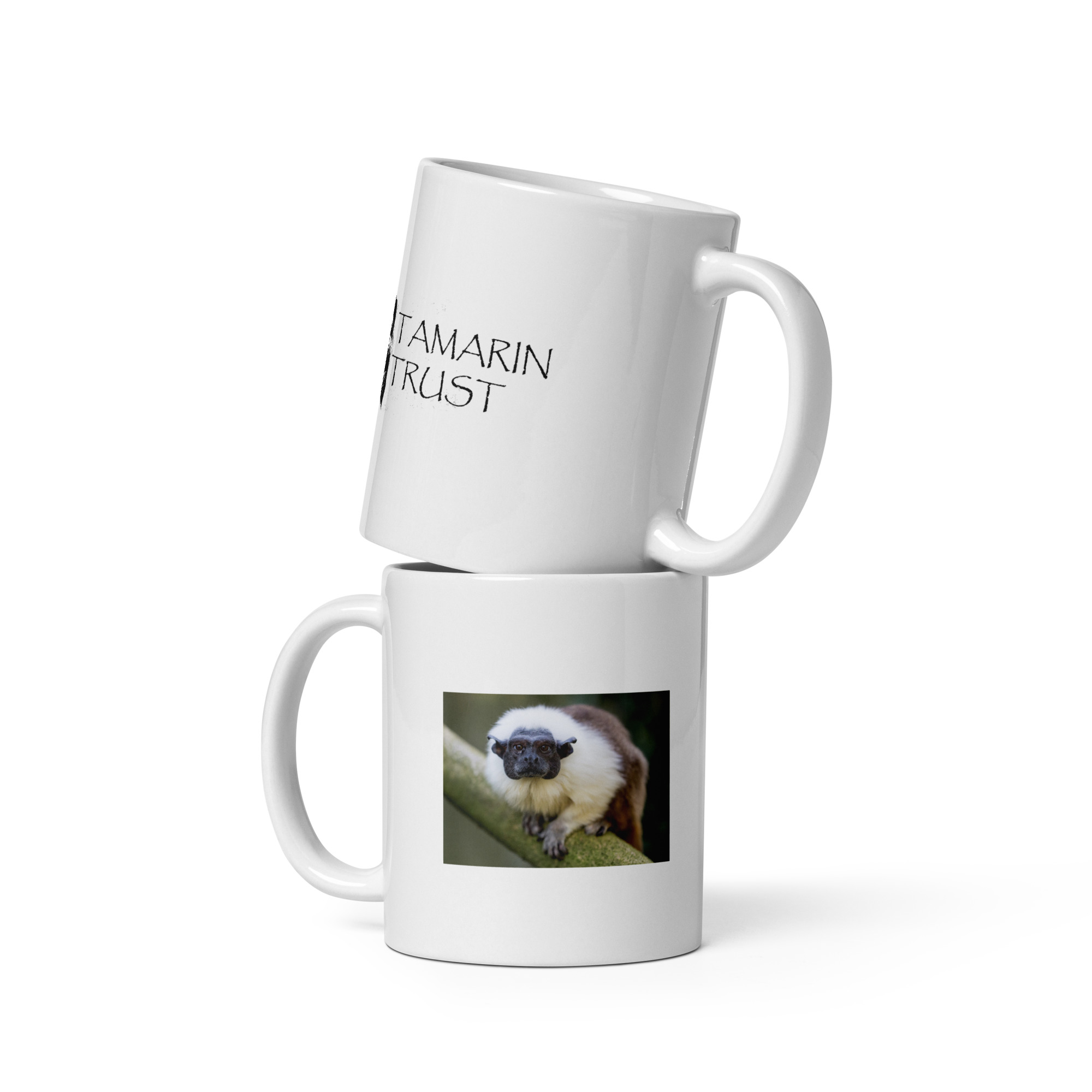 Mug with photo of Pied Tamarin