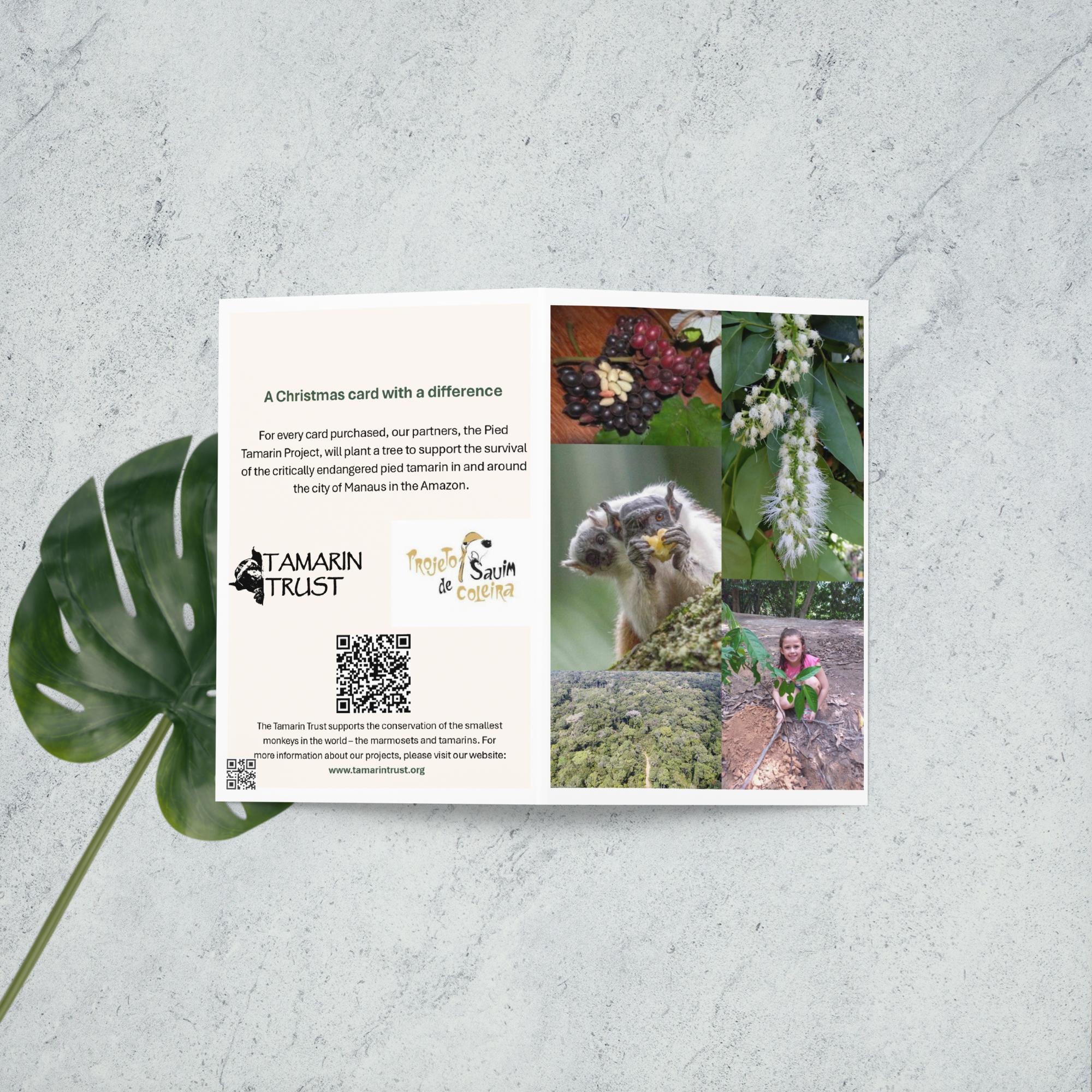Gift Card + Tree Planting – The Tamarin Trust