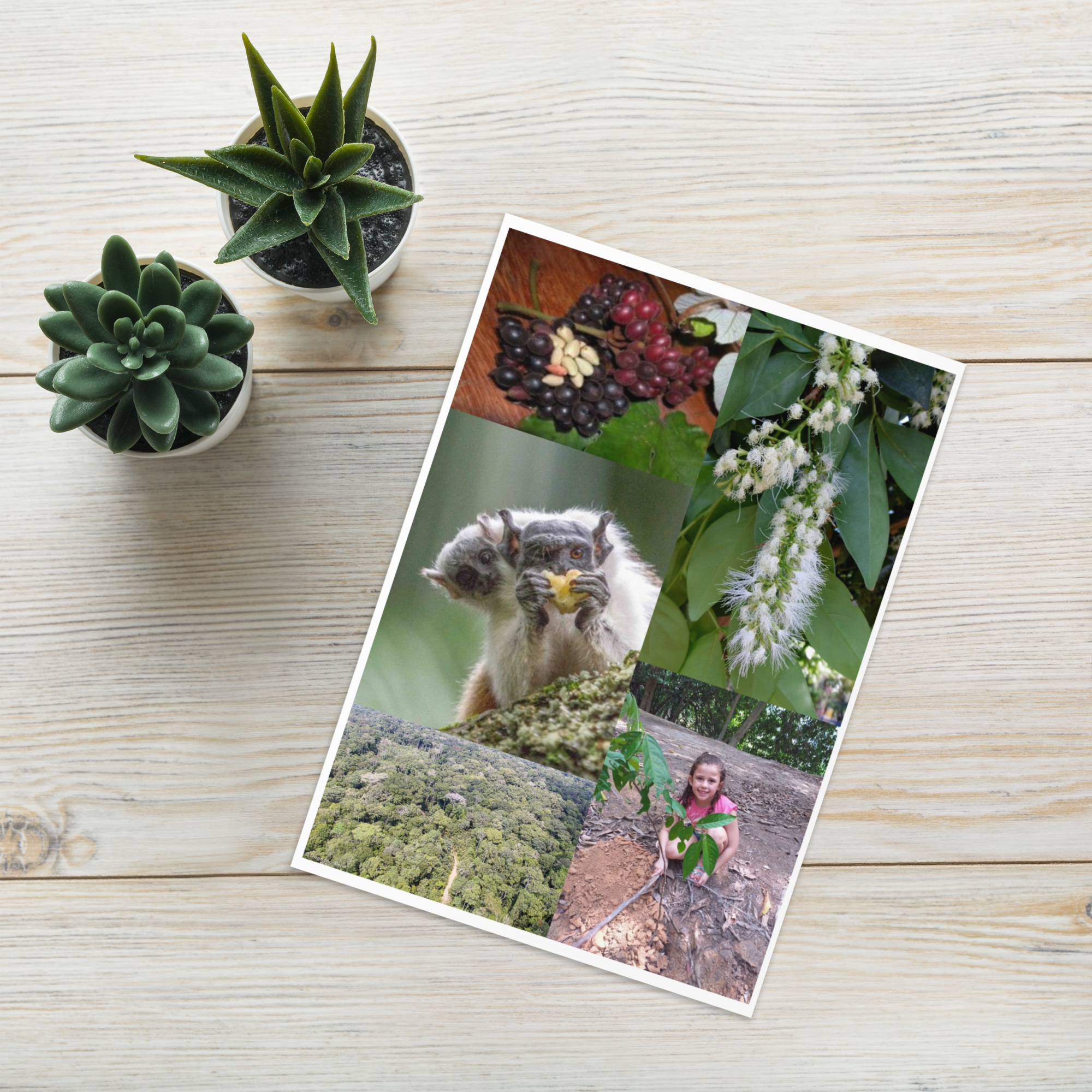 Proof of Tree planting